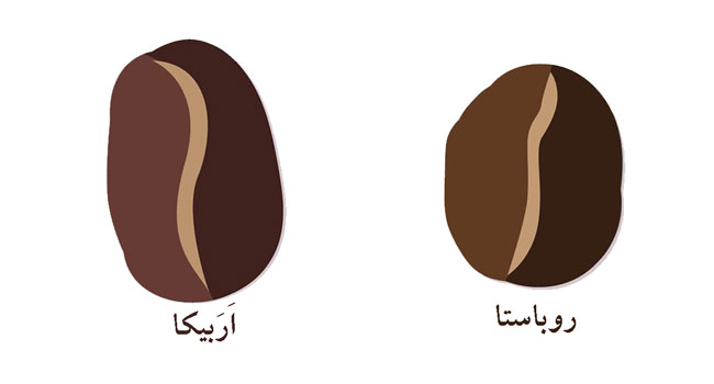قهوه اربیکا و روباستا در وبسایت دونالکس